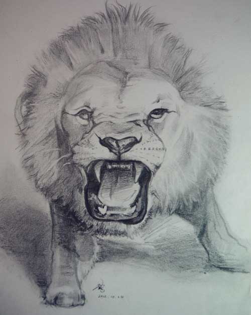 ��е�ʨ������7��24�ա�7��28�գ�