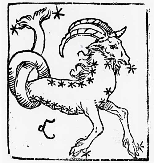 1月1日是什么星座:摩羯座